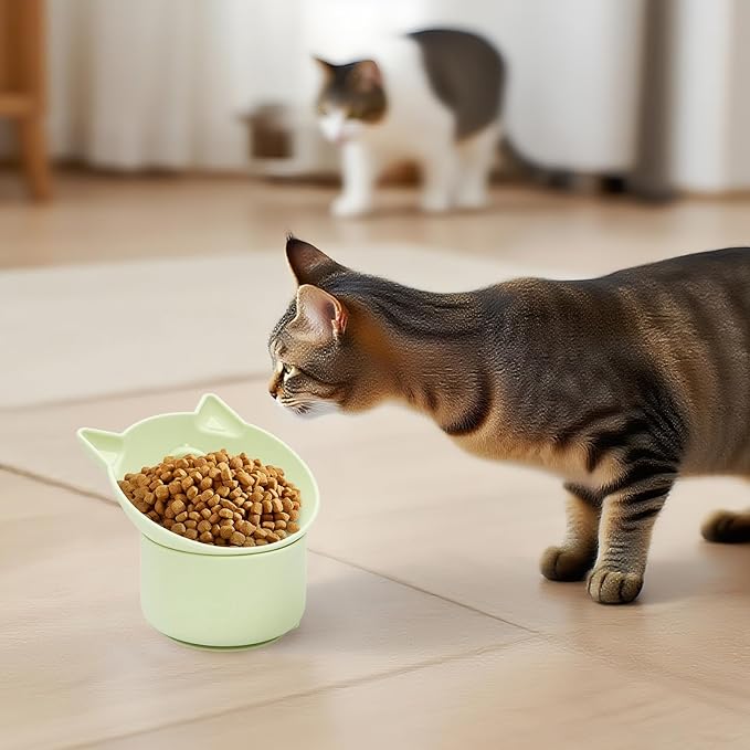 Tilted Bowls: The Next Big Thing for Hungry Pets!
