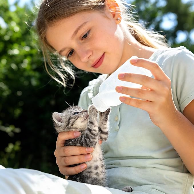 5 Adorable Ways to Feed Your Furry Friends